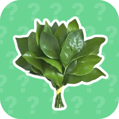 广西大师语音盒