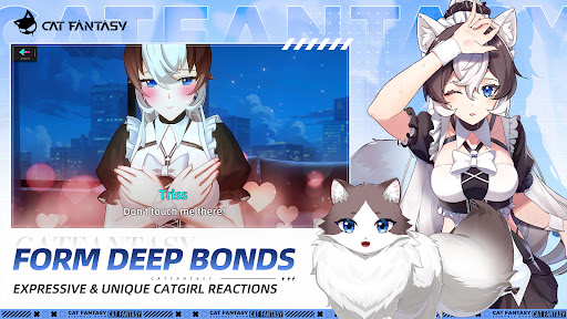 猫之城国际服截图3