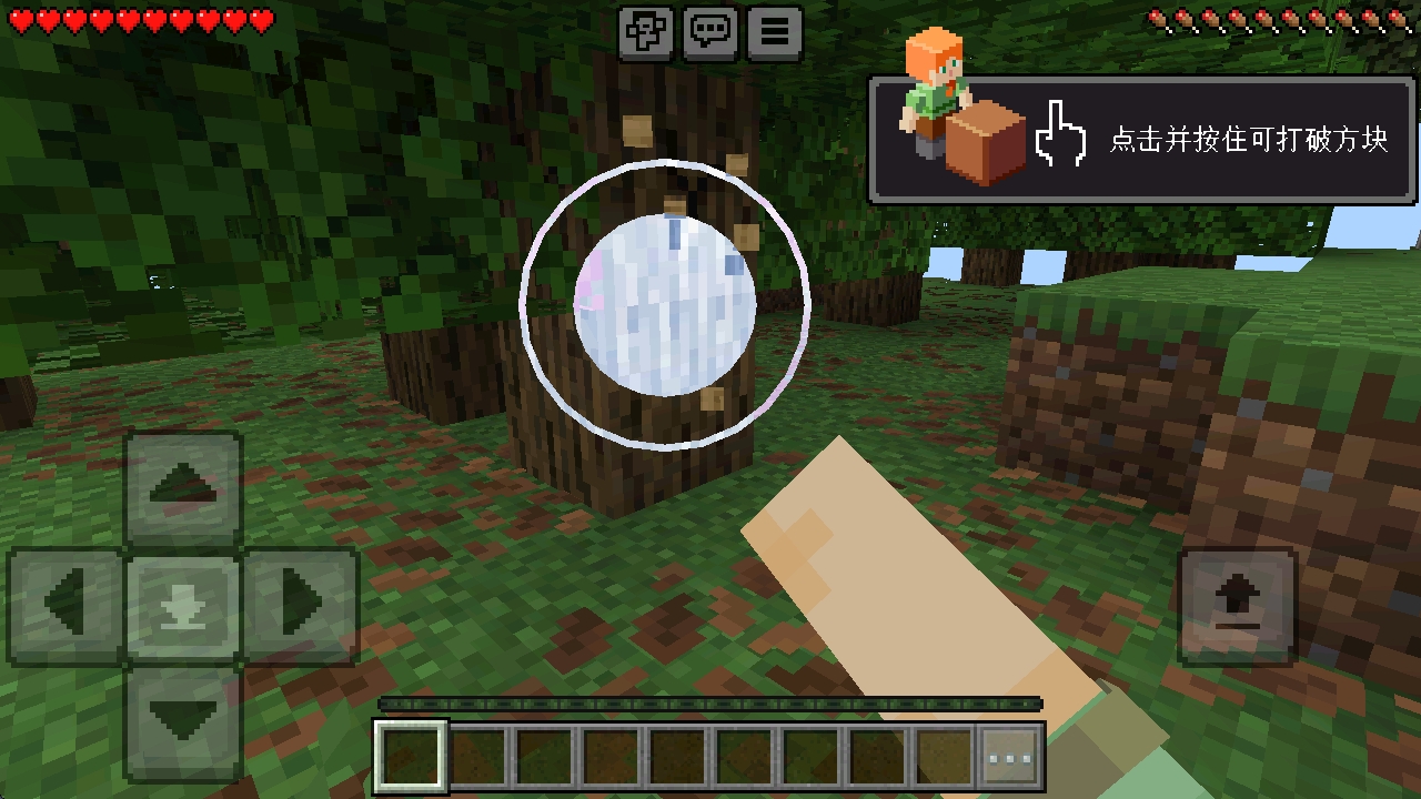 我的世界国际服