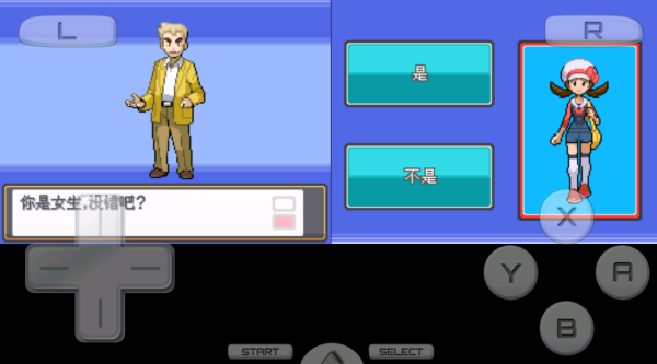 口袋妖怪魂银截图4