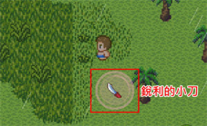 无人岛大冒险2