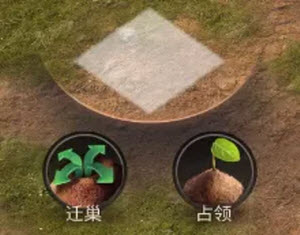 小小蚁国国际服