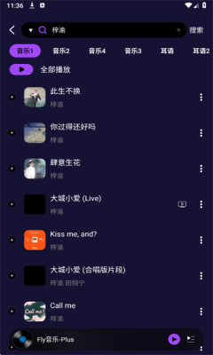 Fly音乐截图1