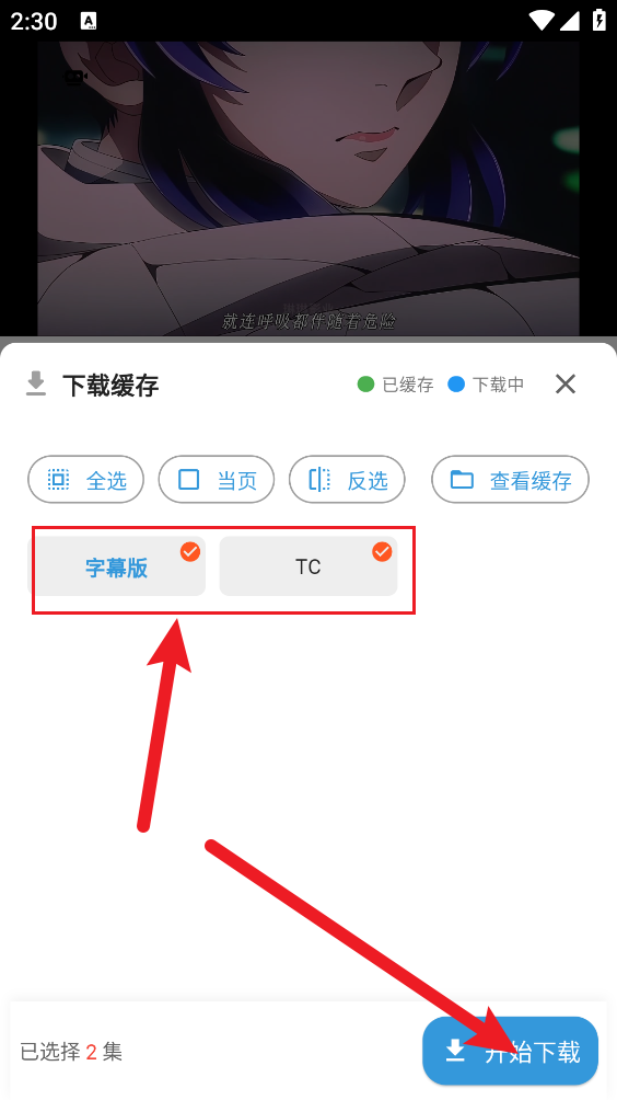 双子星动漫最新版