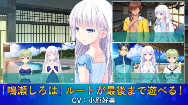 夏日口袋中文版截图6