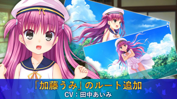 夏日口袋中文版截图4