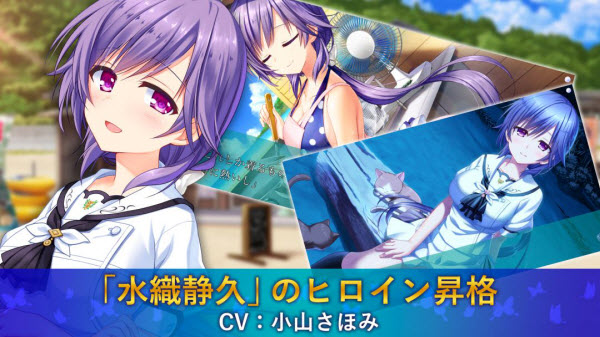 夏日口袋中文版截图3