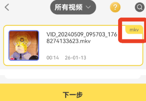 视频格式转换器