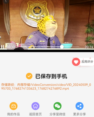 视频格式转换器