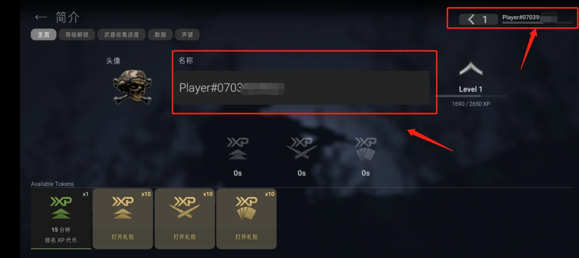 战斗大师国际服