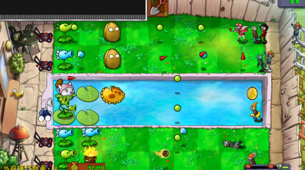 植物大战僵尸花园嘉年华