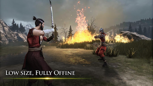 忍者武士隆截图4