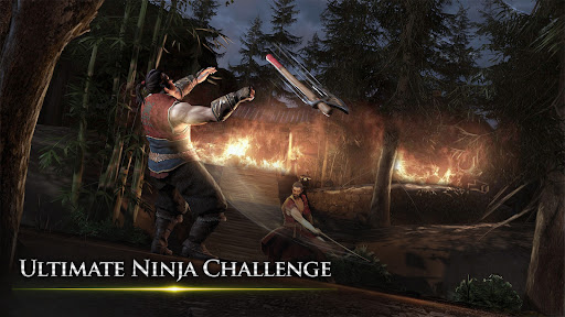 忍者武士隆截图3