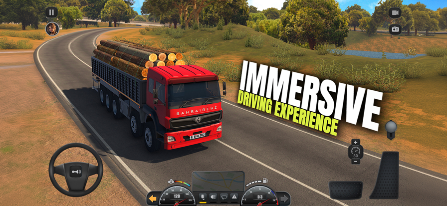 印度卡车大师截图2