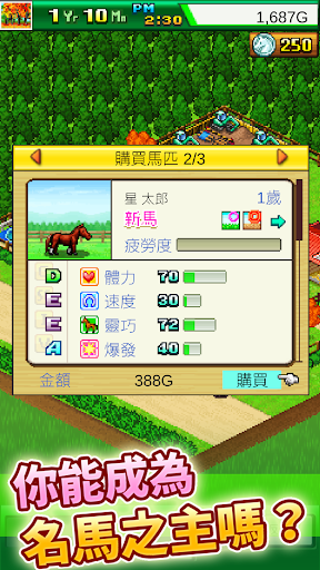 赛马牧场物语汉化版截图4