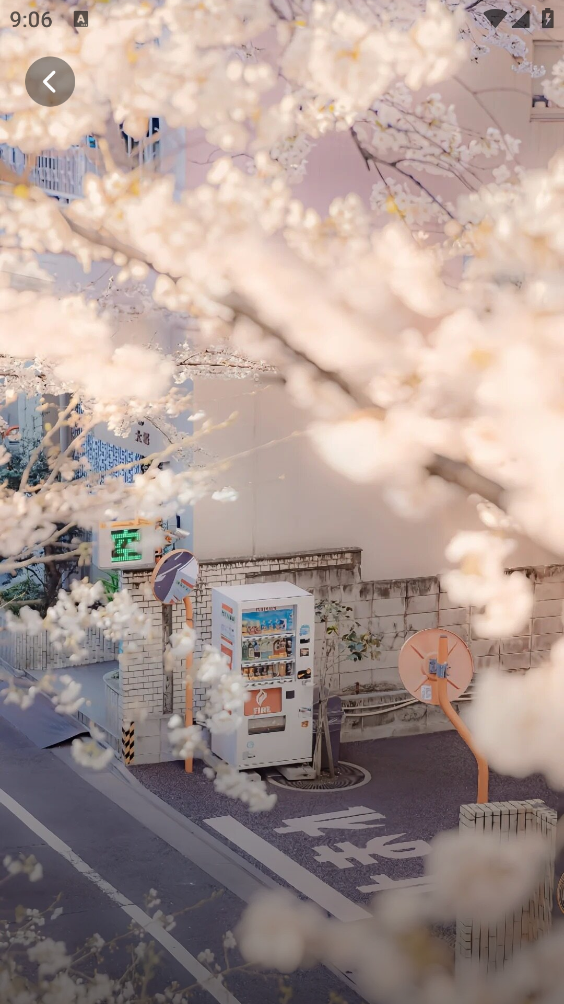 心动桌面壁纸截图5