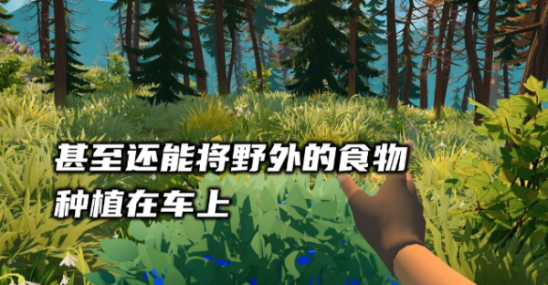 房车露营模拟器