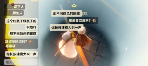 光遇测试服